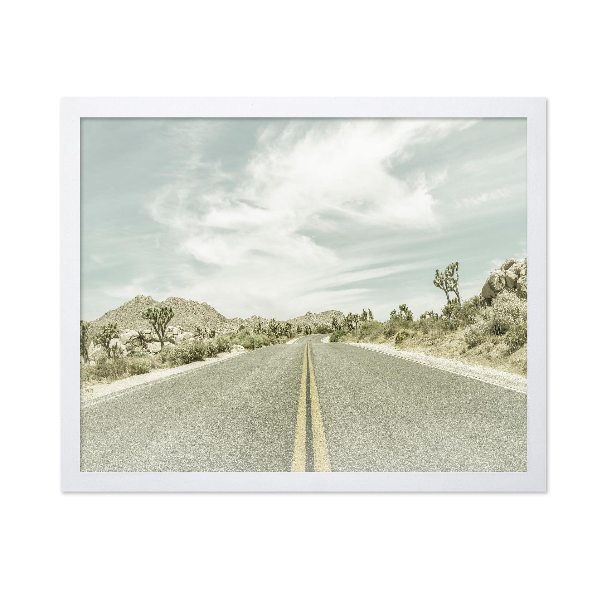 Joshua Tree Road No2