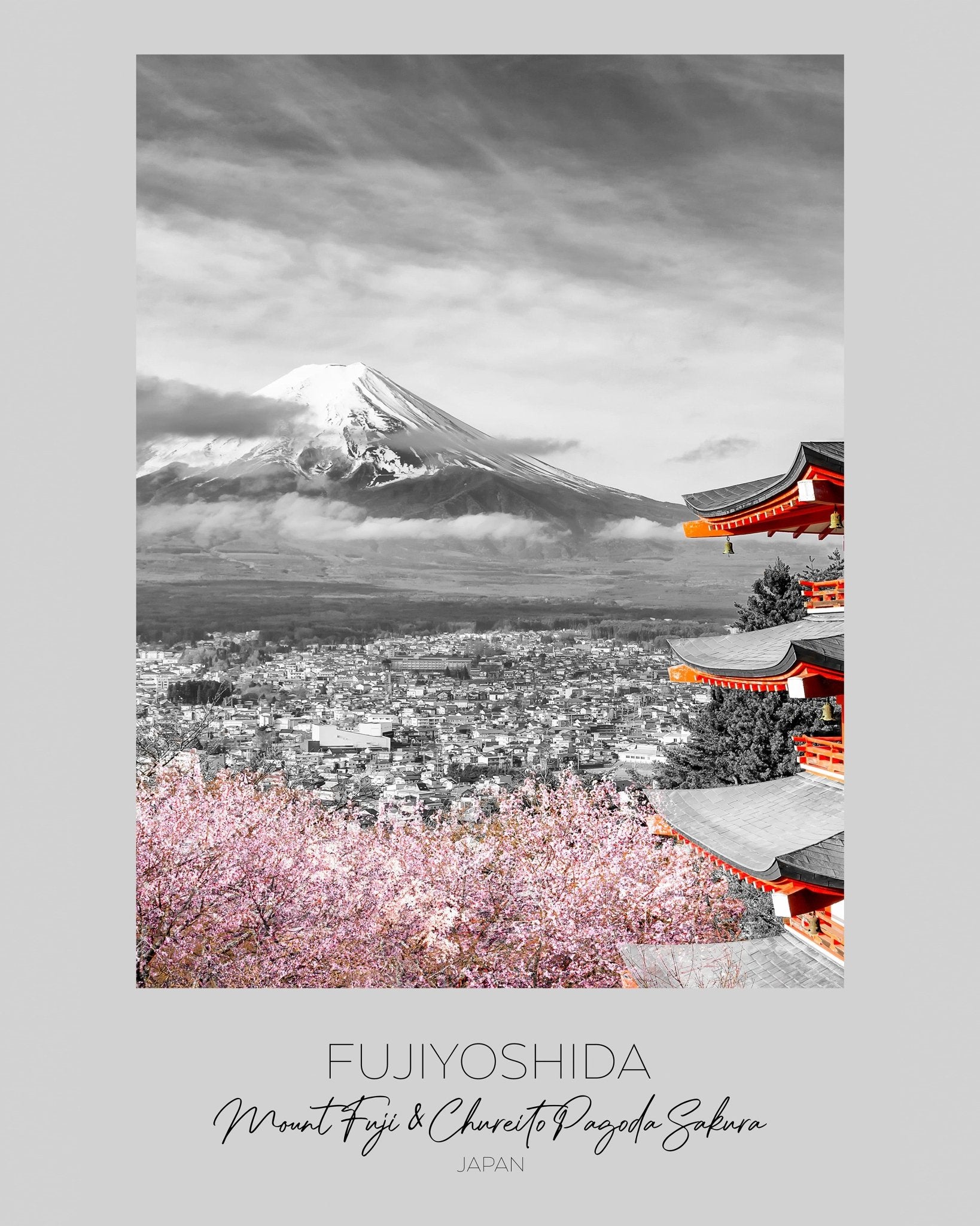 Fuji Pagoda Sakura