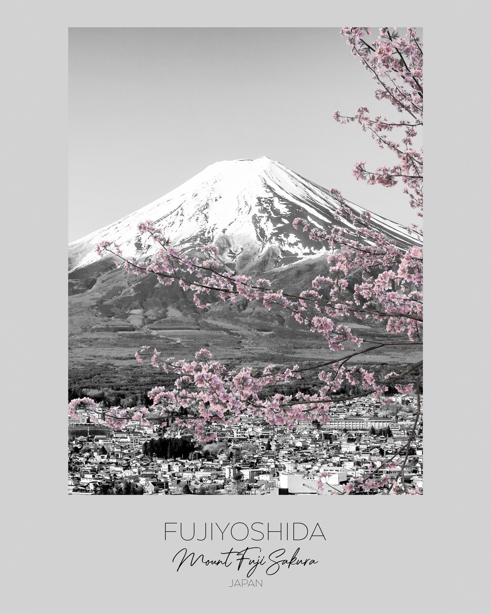 Mount Fuji Sakura View