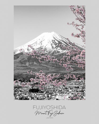 Mount Fuji Sakura View