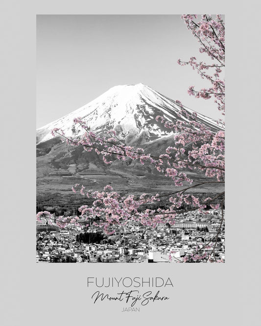 Mount Fuji Sakura View
