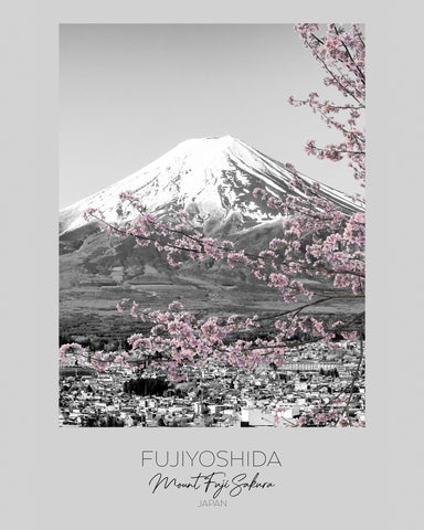 Mount Fuji Sakura View