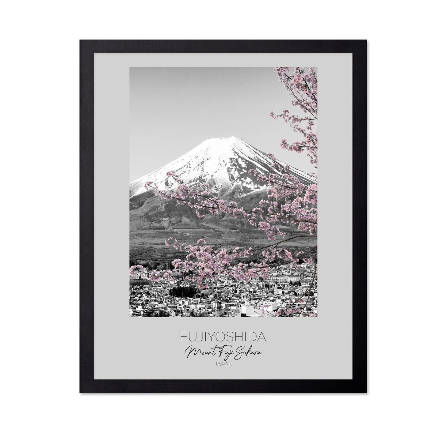 Mount Fuji Sakura View