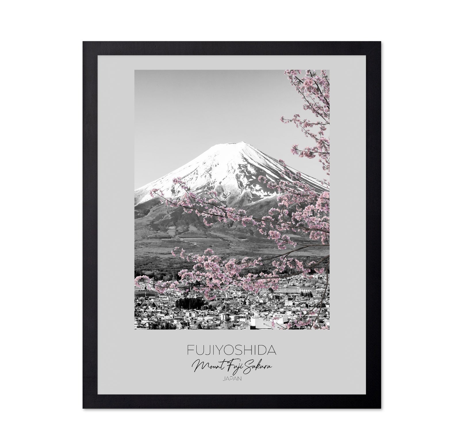 Mount Fuji Sakura View