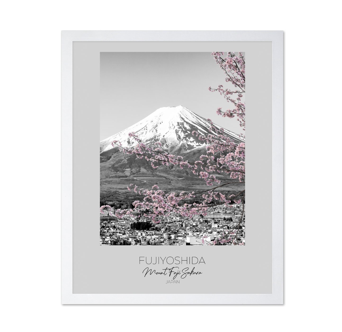 Mount Fuji Sakura View