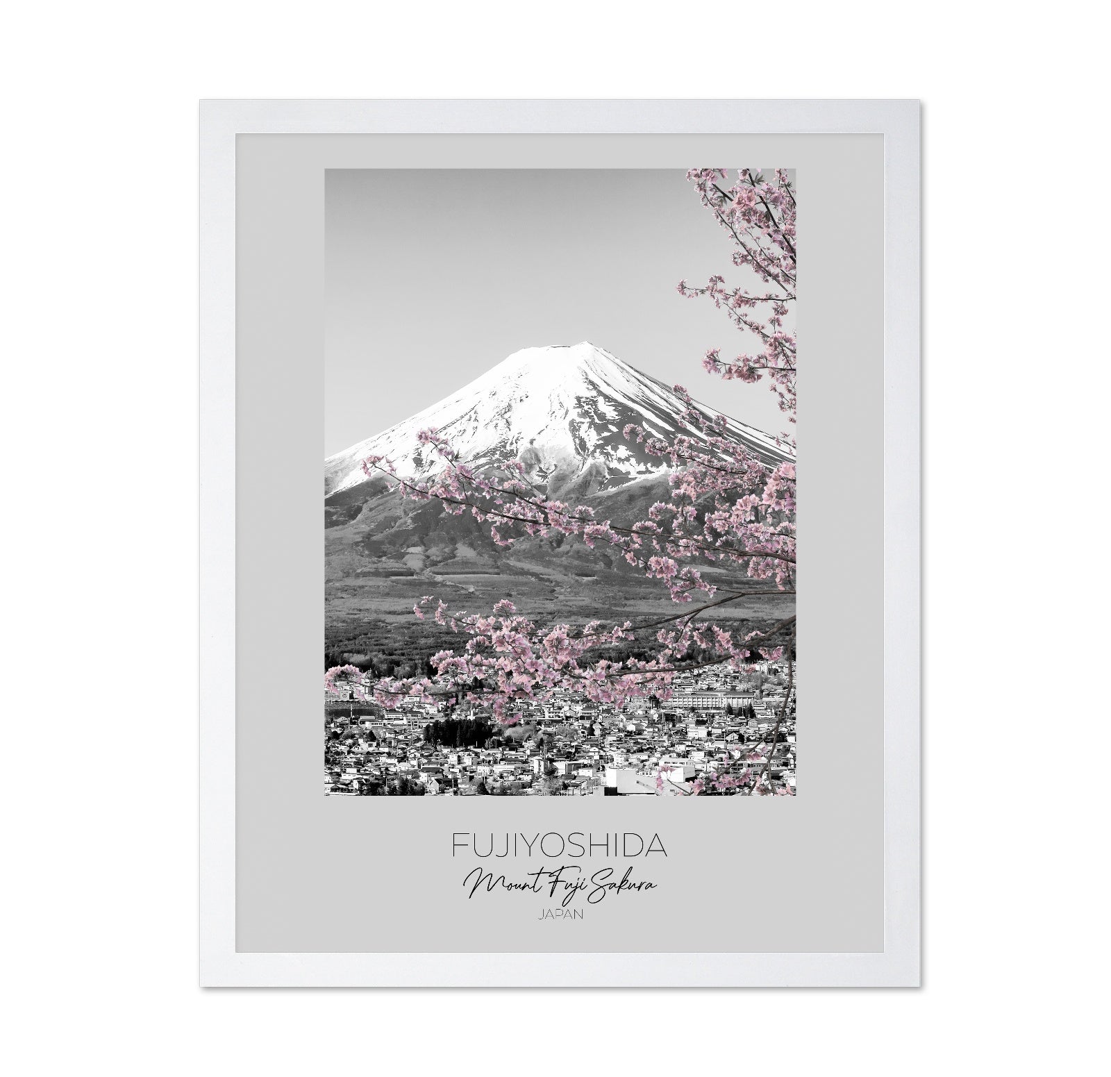 Mount Fuji Sakura View