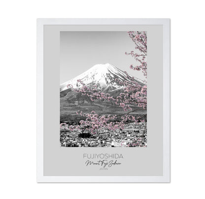 Mount Fuji Sakura View