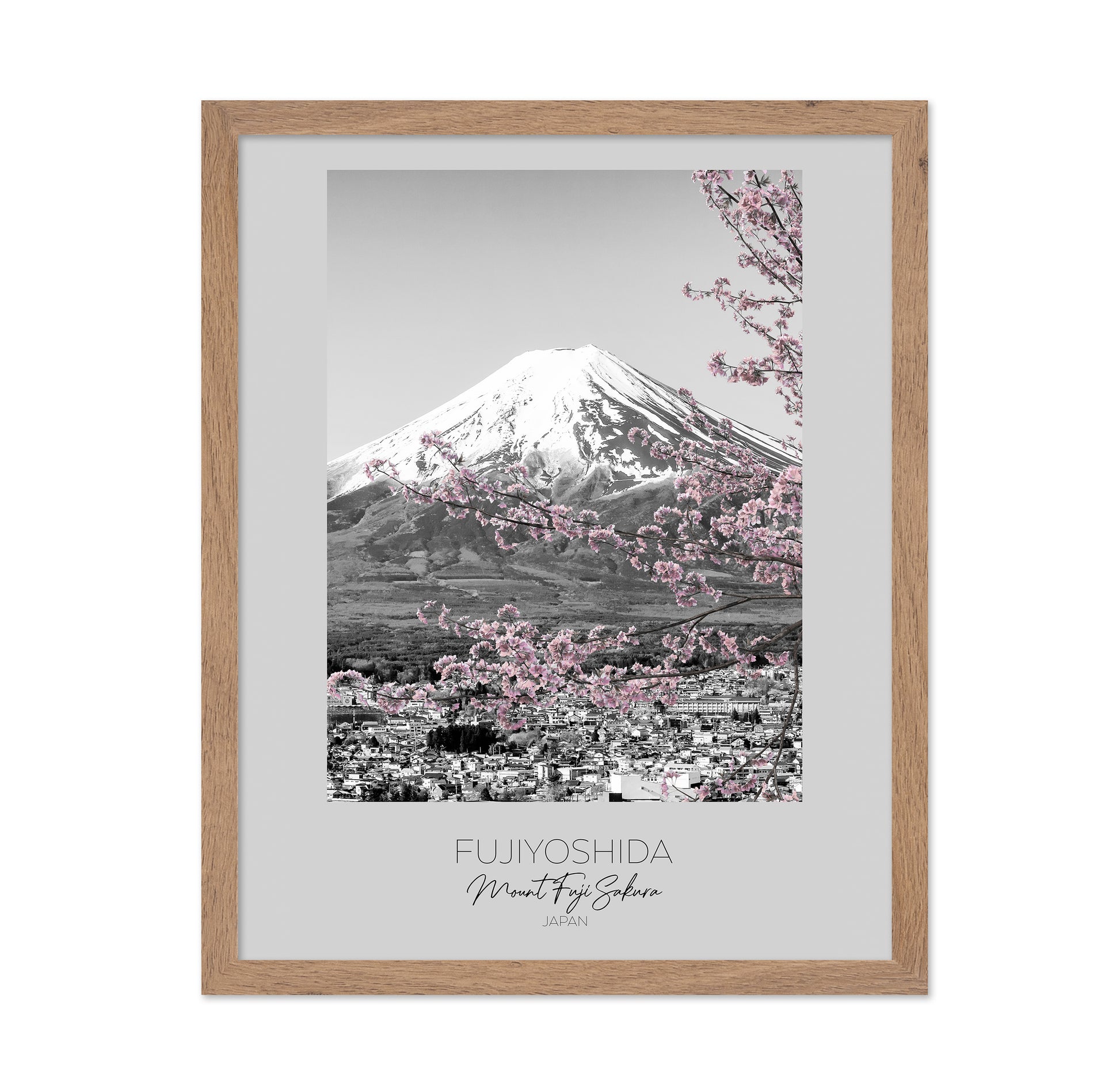 Mount Fuji Sakura View