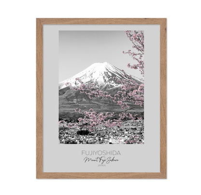 Mount Fuji Sakura View