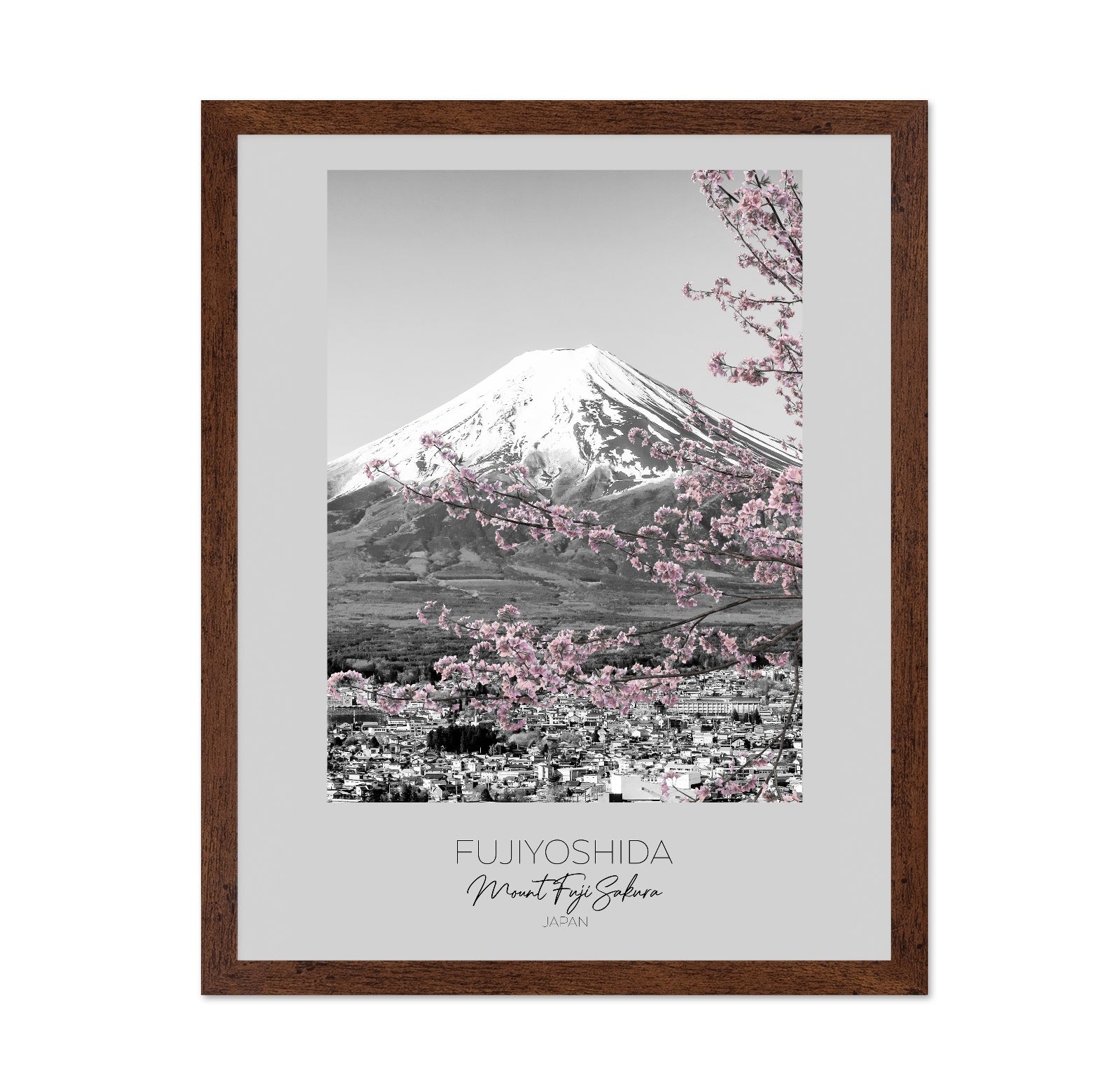 Mount Fuji Sakura View