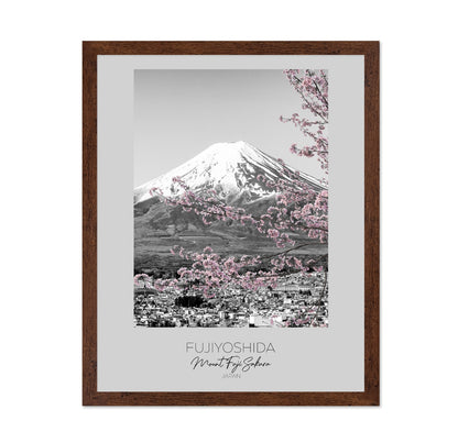 Mount Fuji Sakura View