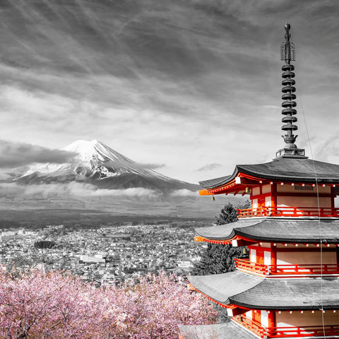 Fuji Pagoda Blossom No1