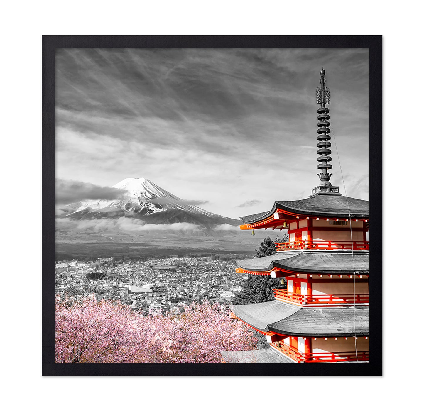 Fuji Pagoda Blossom No1