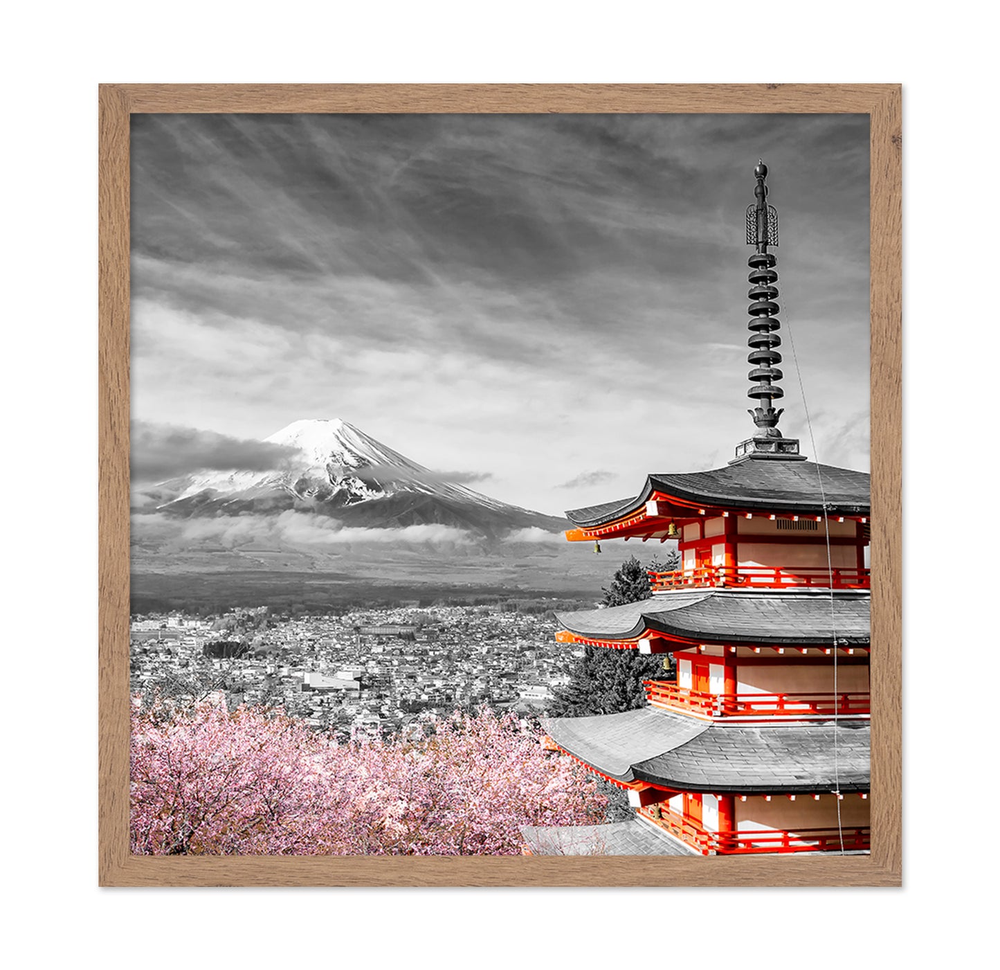 Fuji Pagoda Blossom No1
