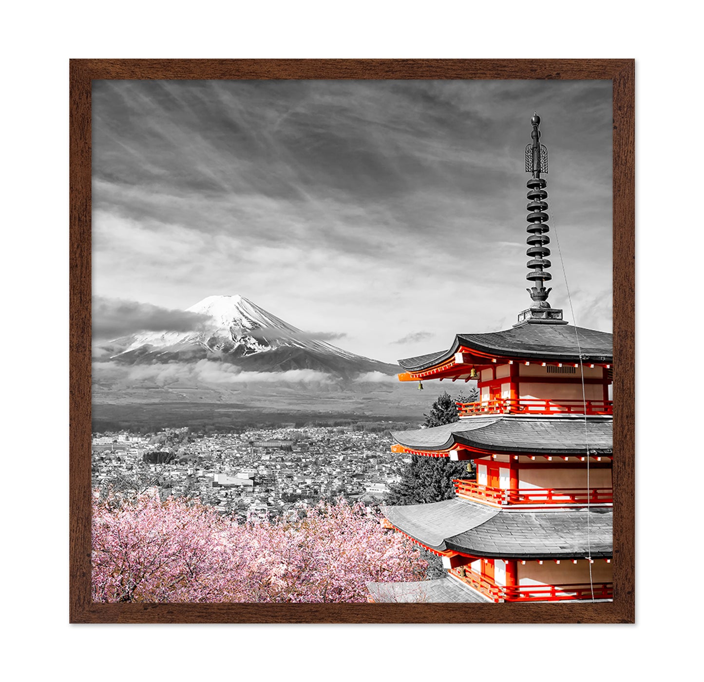Fuji Pagoda Blossom No1