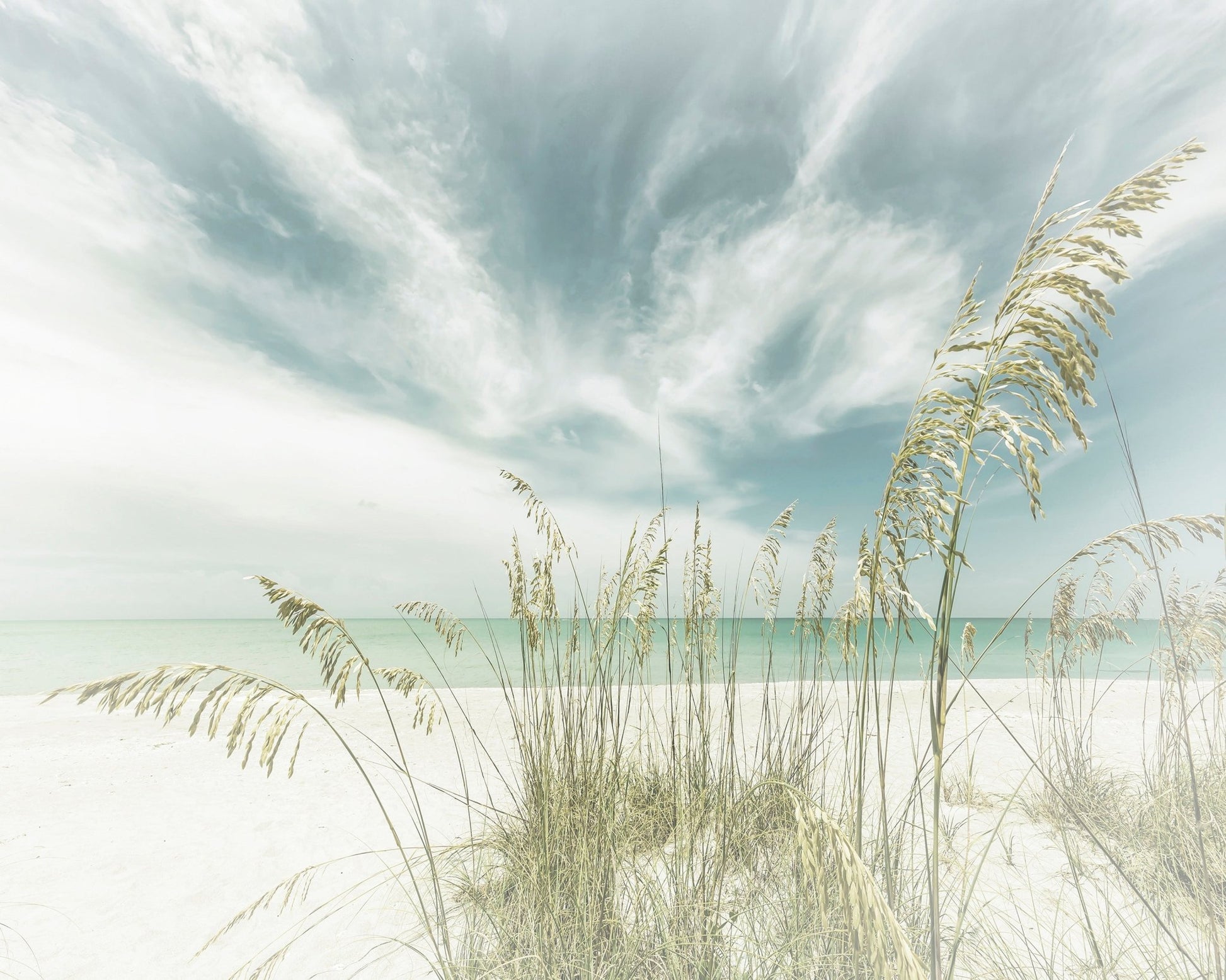 Serene Beach Grasses