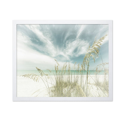 Serene Beach Grasses