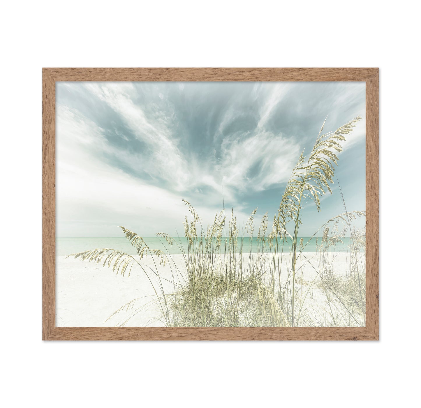 Serene Beach Grasses