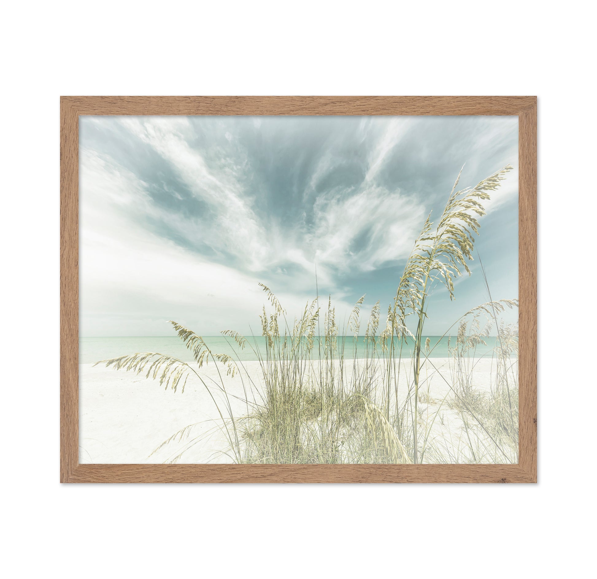 Serene Beach Grasses