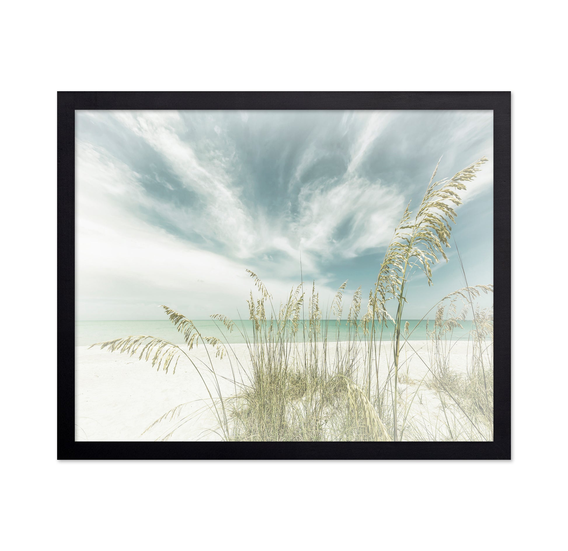 Serene Beach Grasses