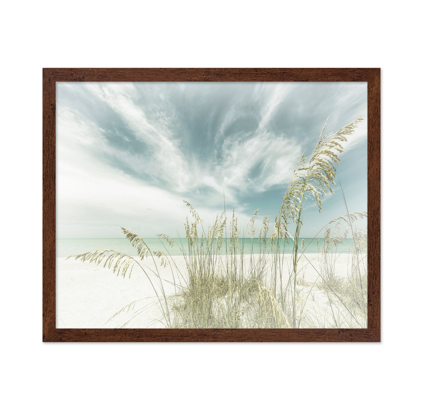 Serene Beach Grasses