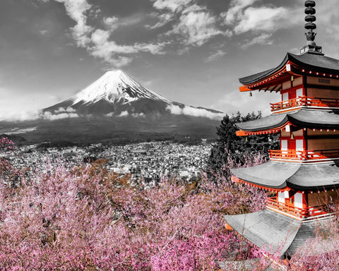 Fuji Pagoda Blossom No2