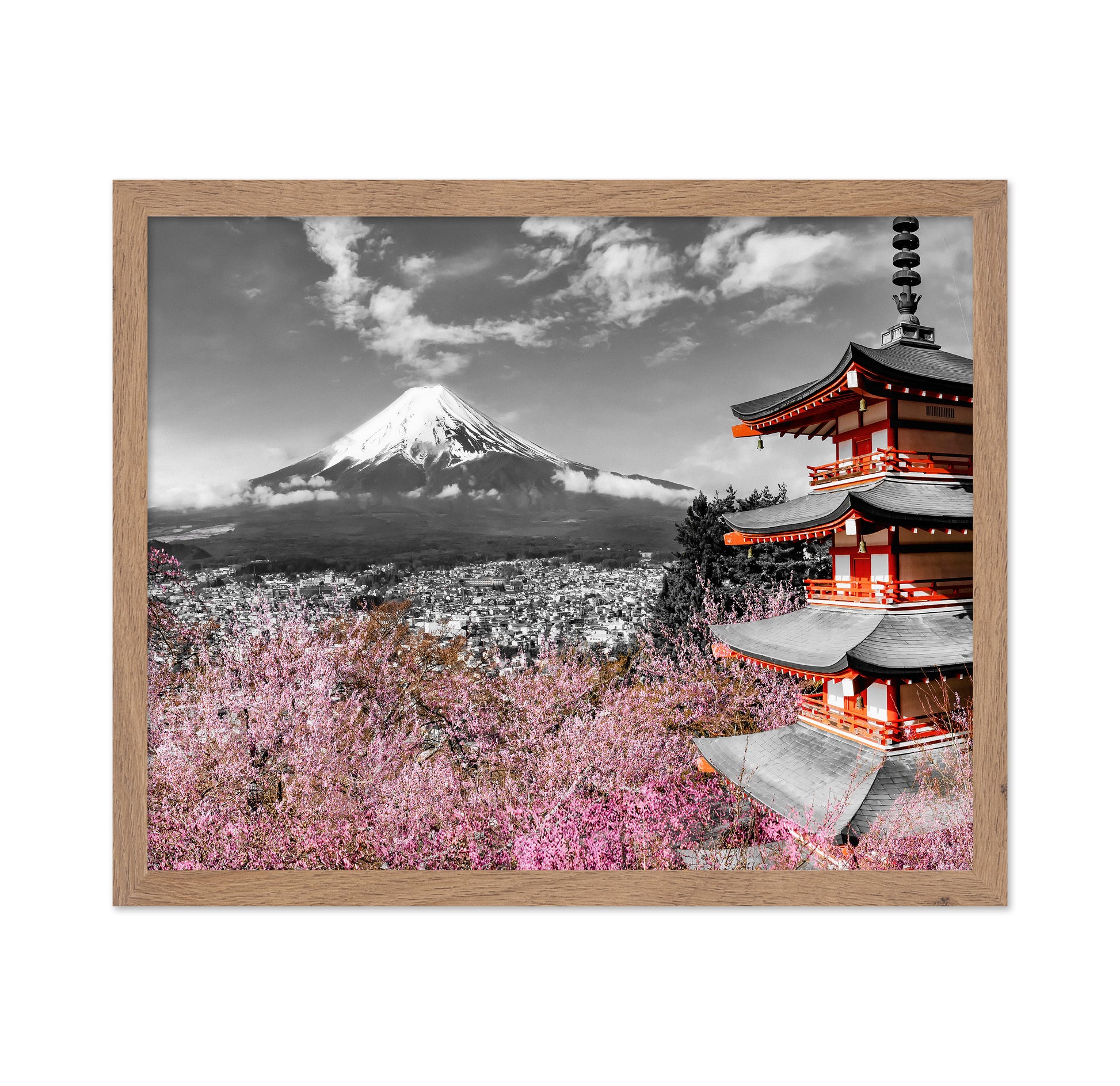 Fuji Pagoda Blossom No2