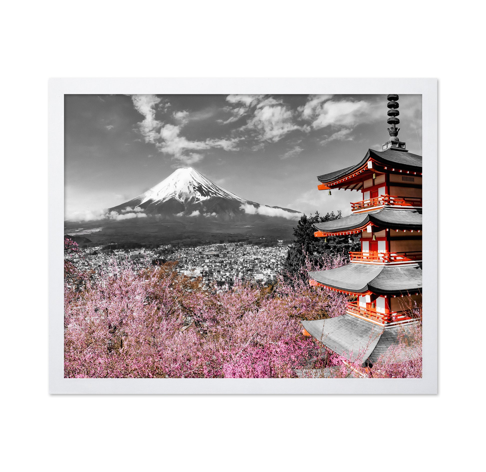 Fuji Pagoda Blossom No2