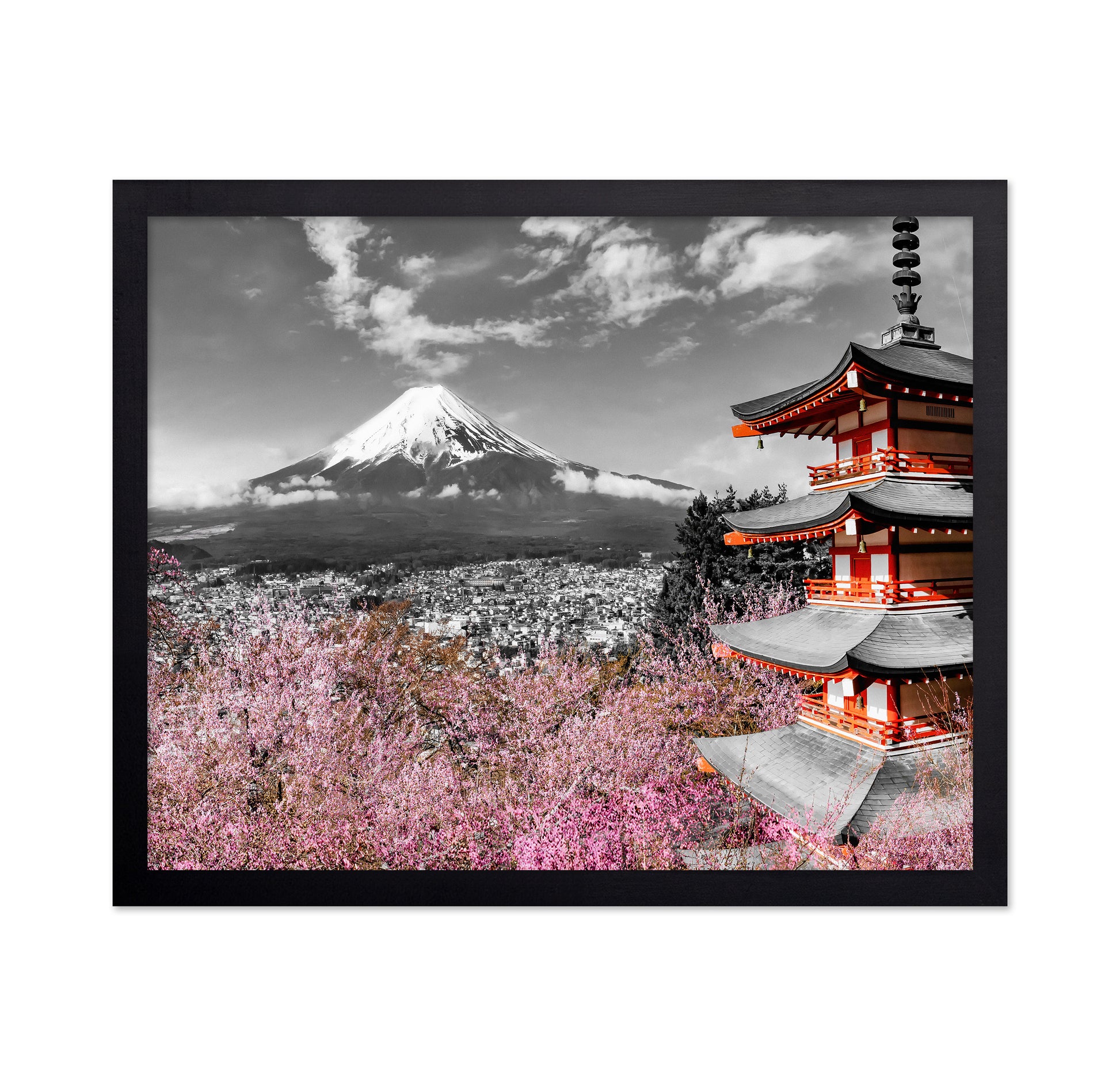 Fuji Pagoda Blossom No2