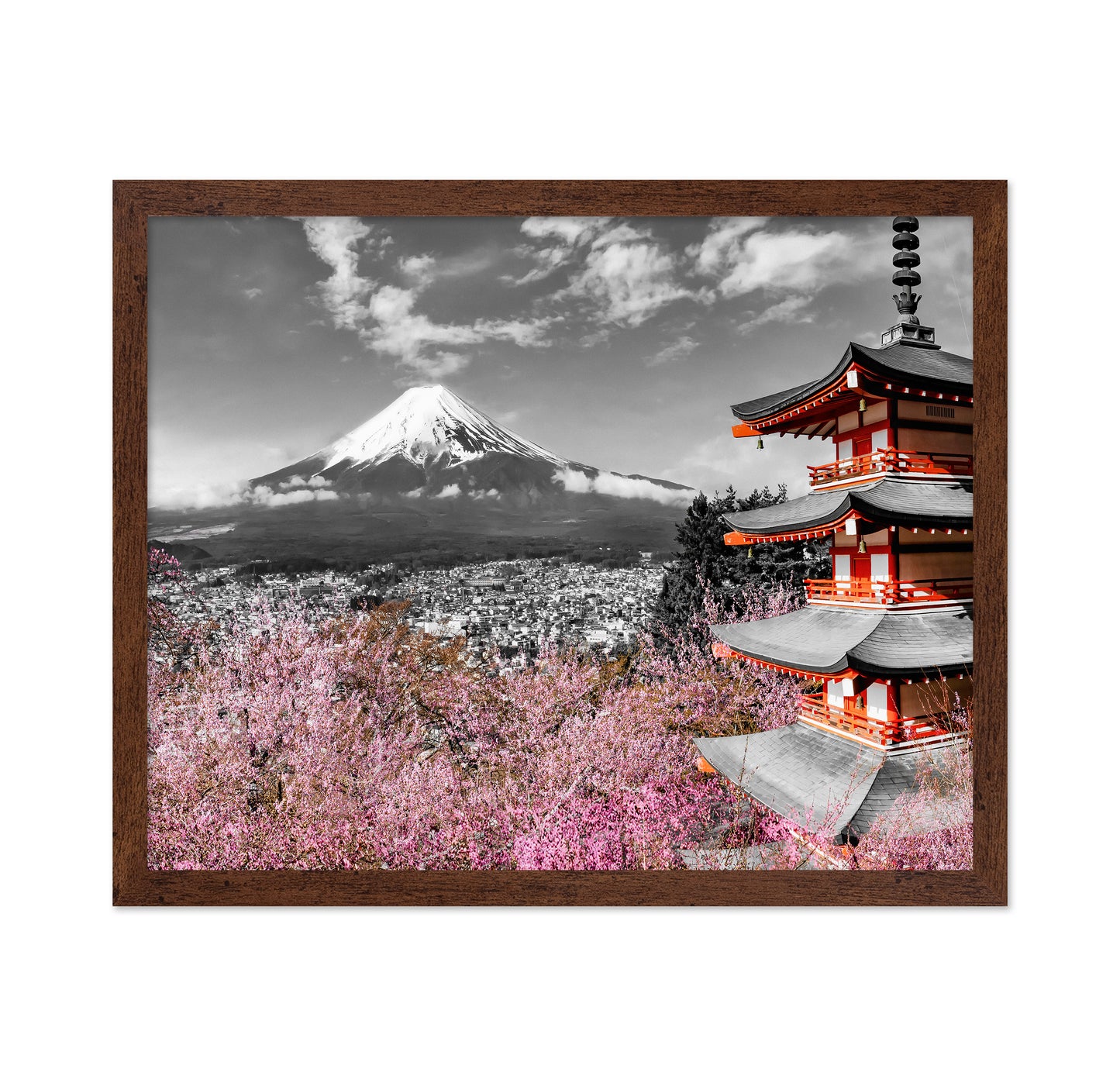 Fuji Pagoda Blossom No2