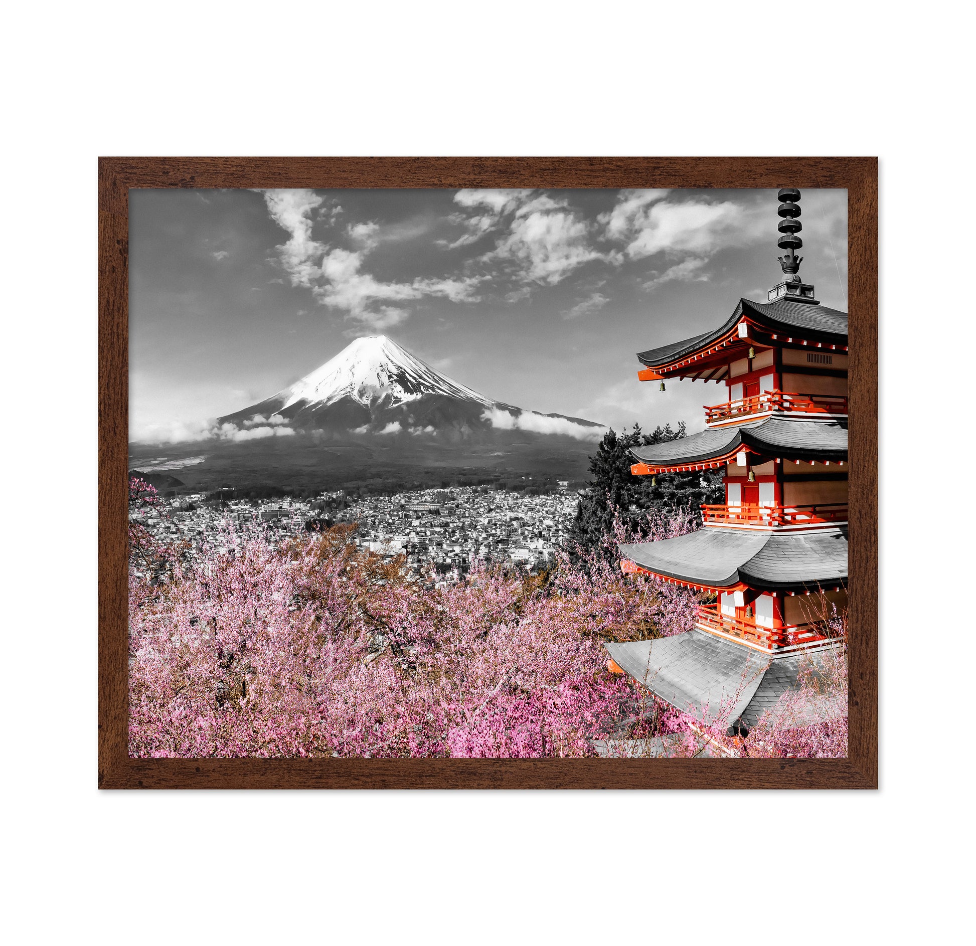 Fuji Pagoda Blossom No2