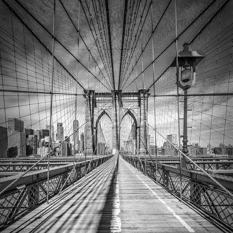 Brooklyn Bridge Lines No2