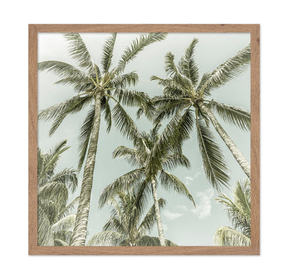 Vintage Palm Trees