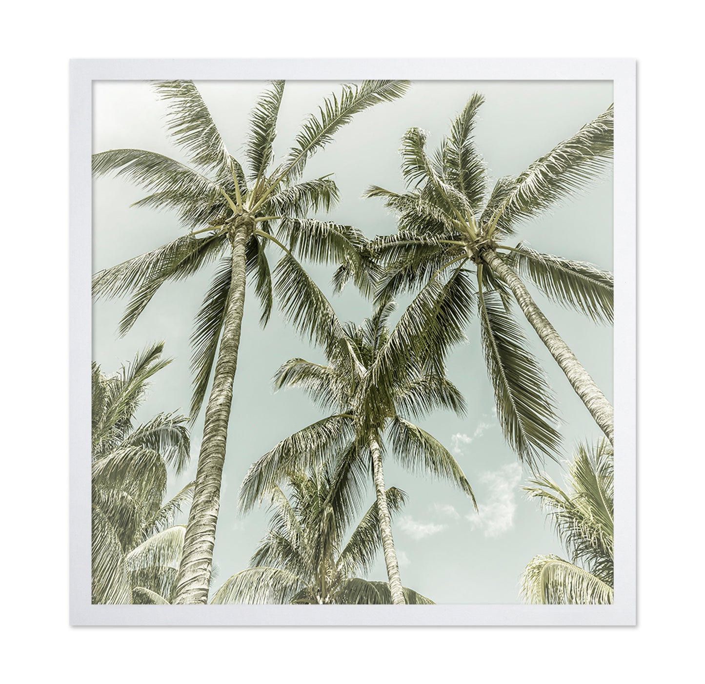 Vintage Palm Trees
