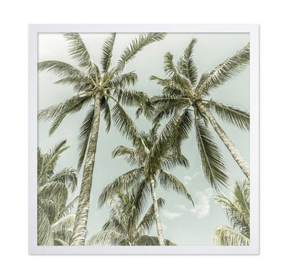 Vintage Palm Trees