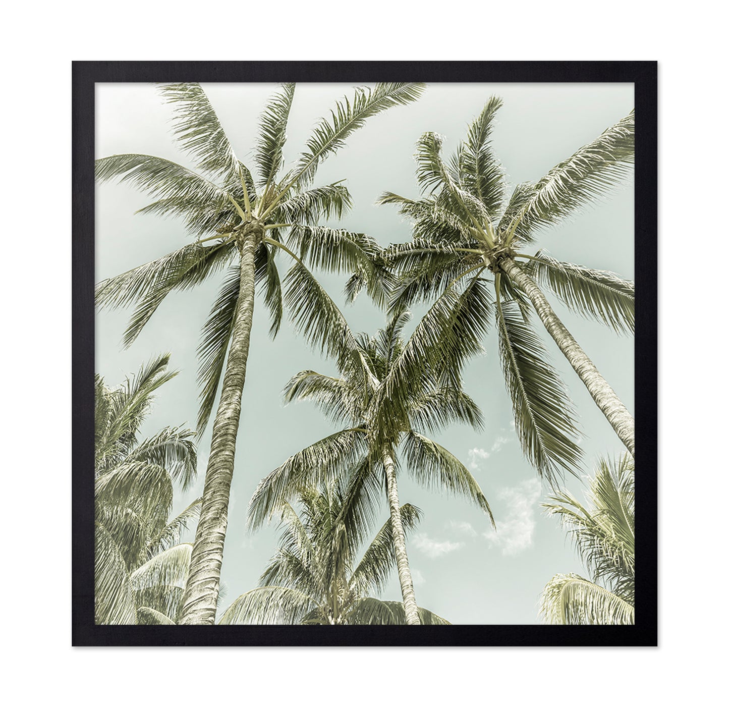 Vintage Palm Trees