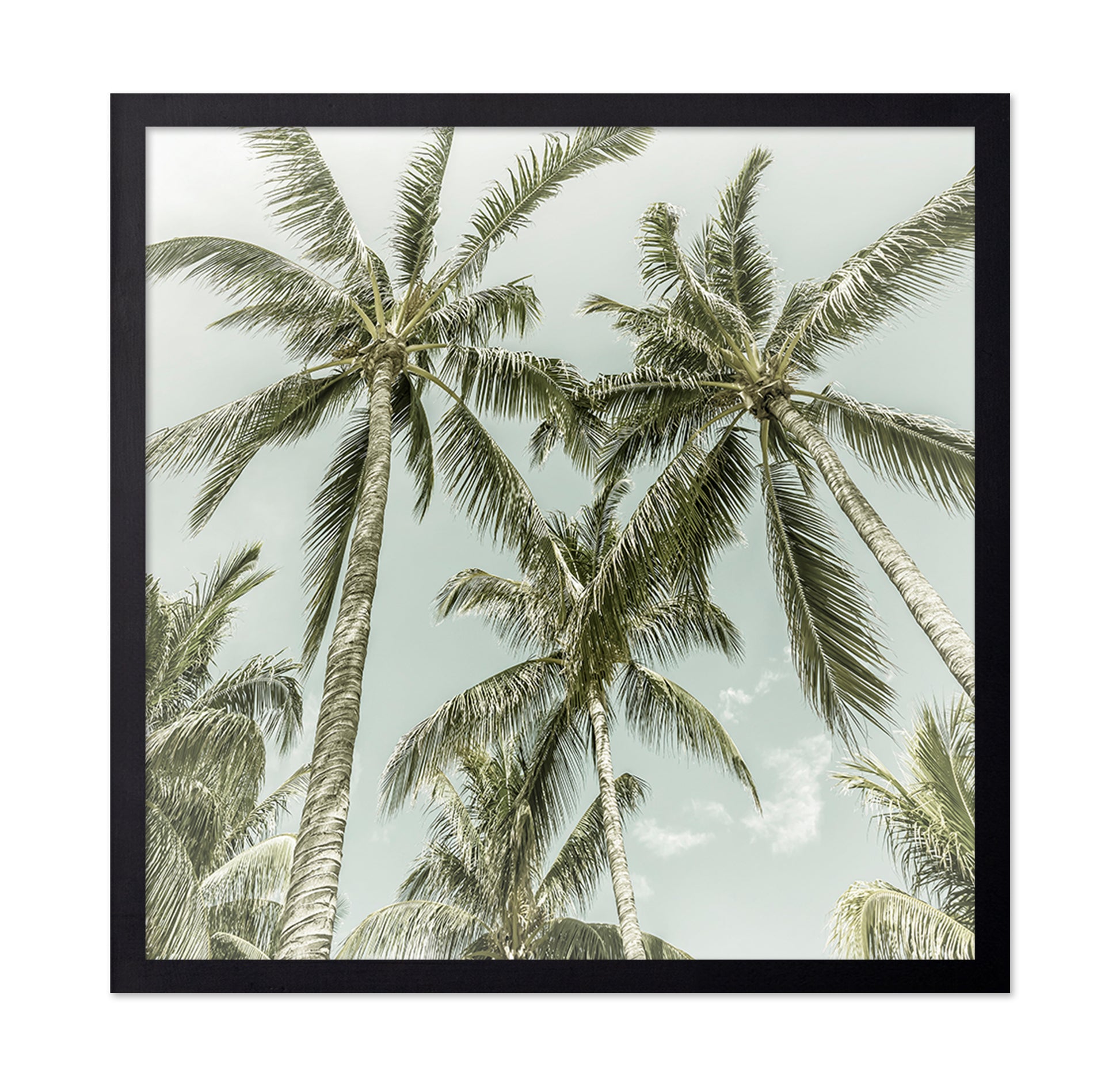 Vintage Palm Trees