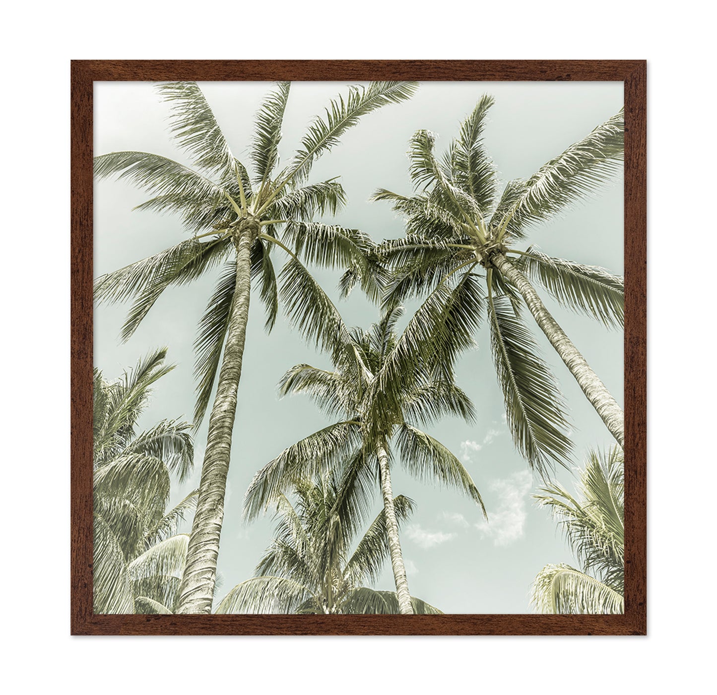 Vintage Palm Trees