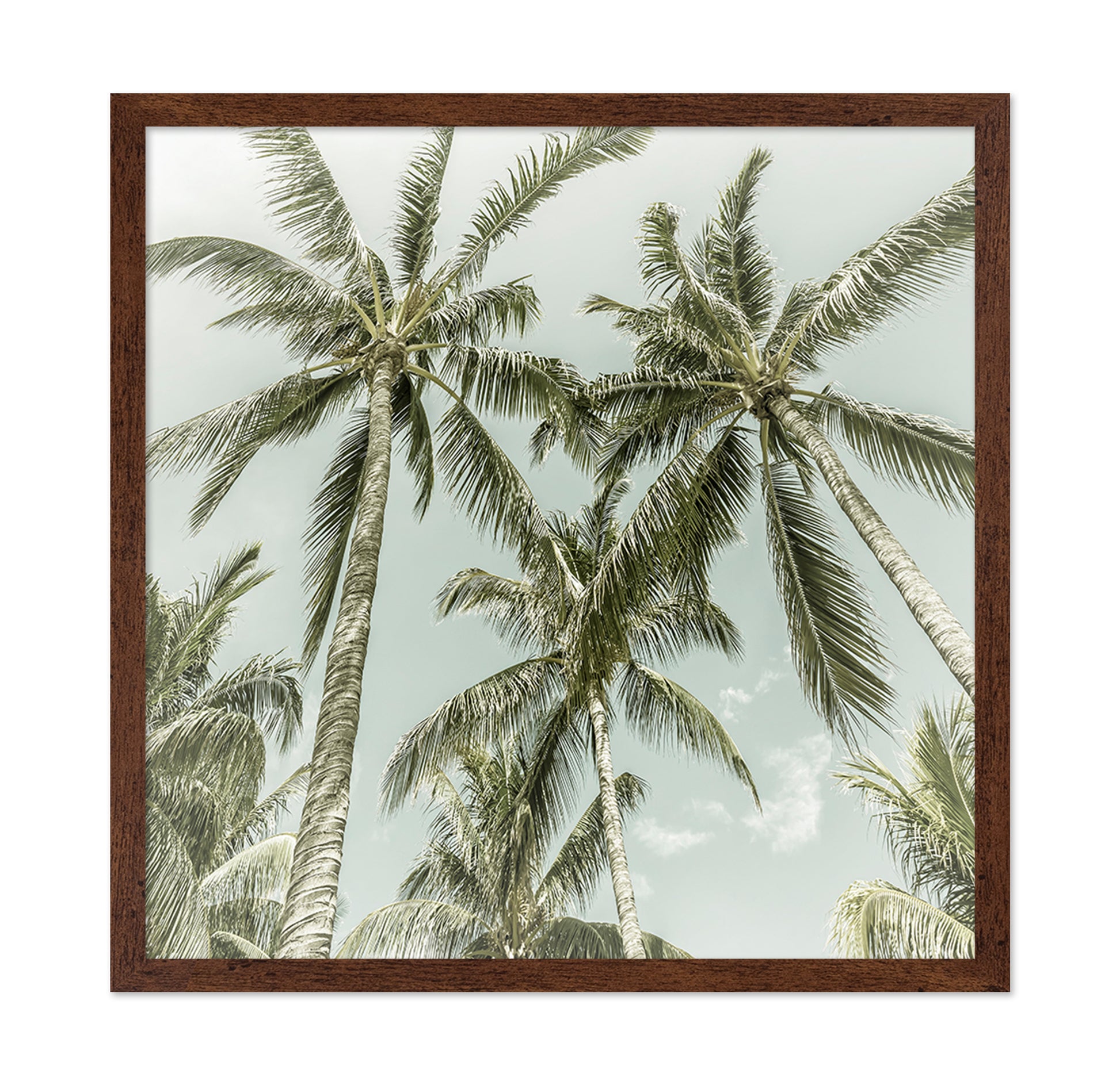Vintage Palm Trees