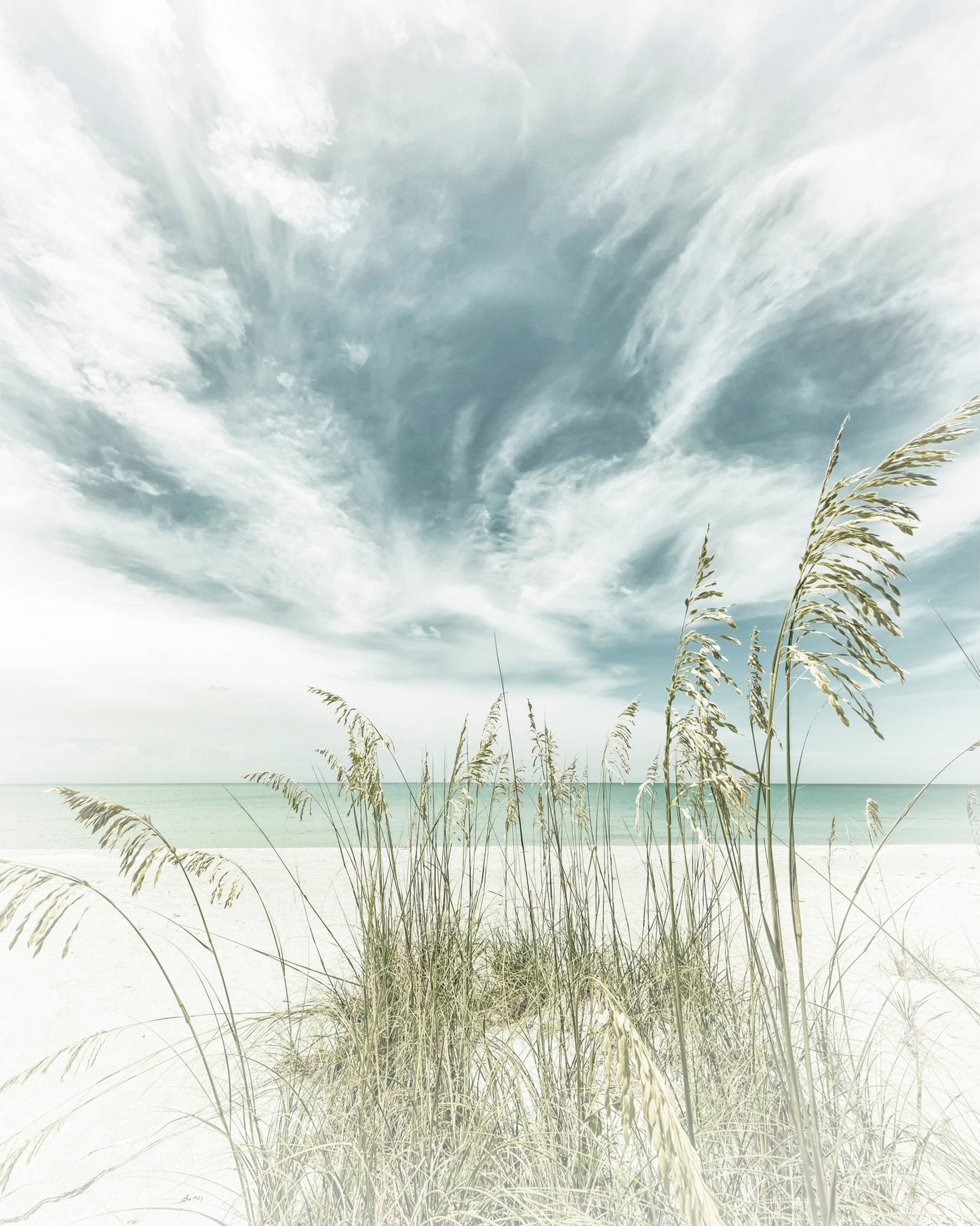 Calm Beach Dunes