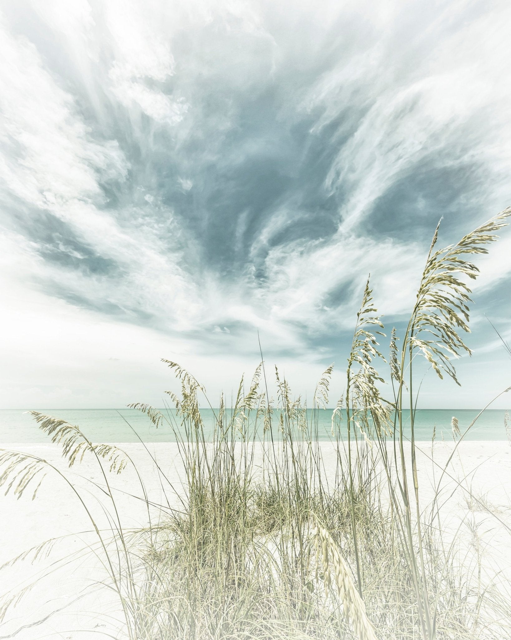 Calm Beach Dunes