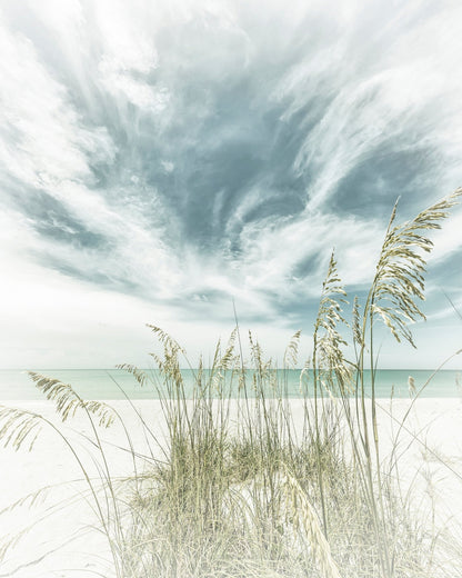 Calm Beach Dunes