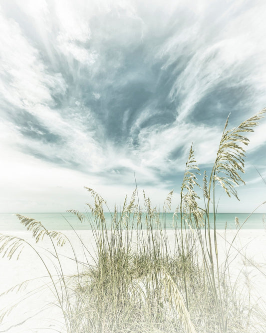 Calm Beach Dunes