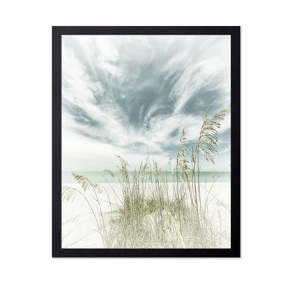 Calm Beach Dunes