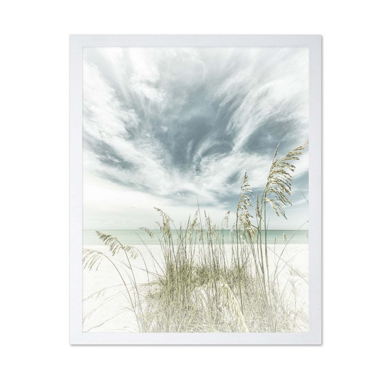Calm Beach Dunes