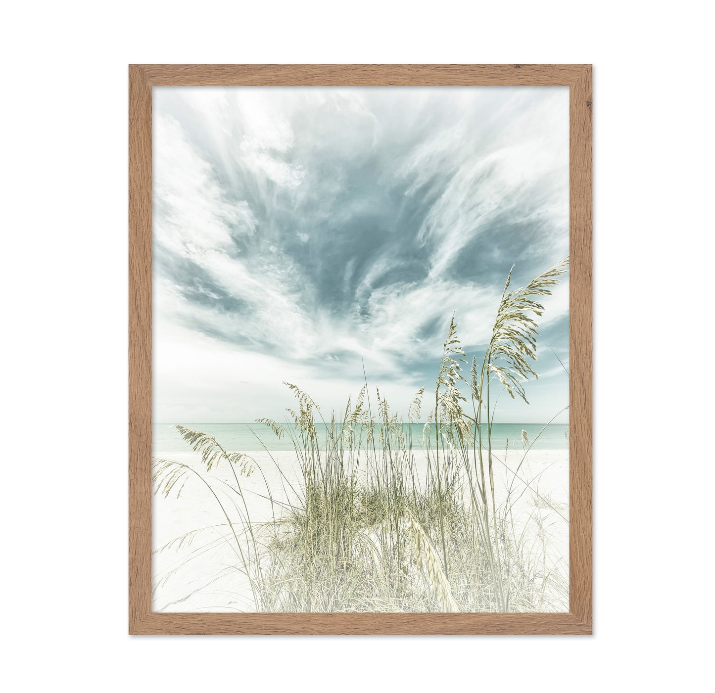 Calm Beach Dunes