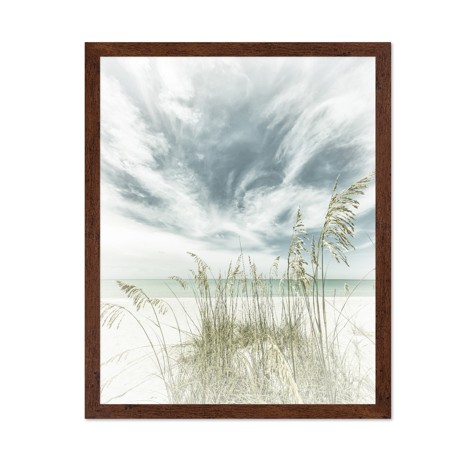 Calm Beach Dunes