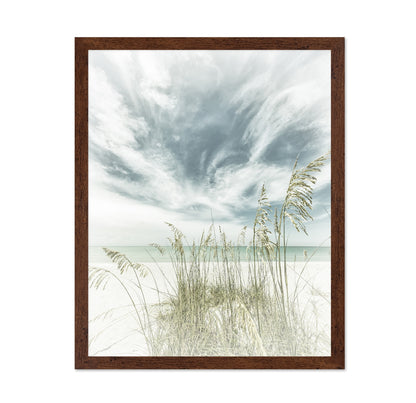 Calm Beach Dunes