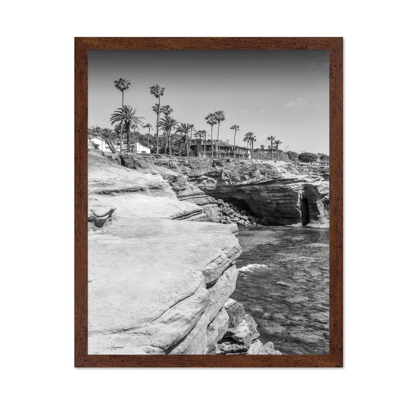 Sunset Cliffs View