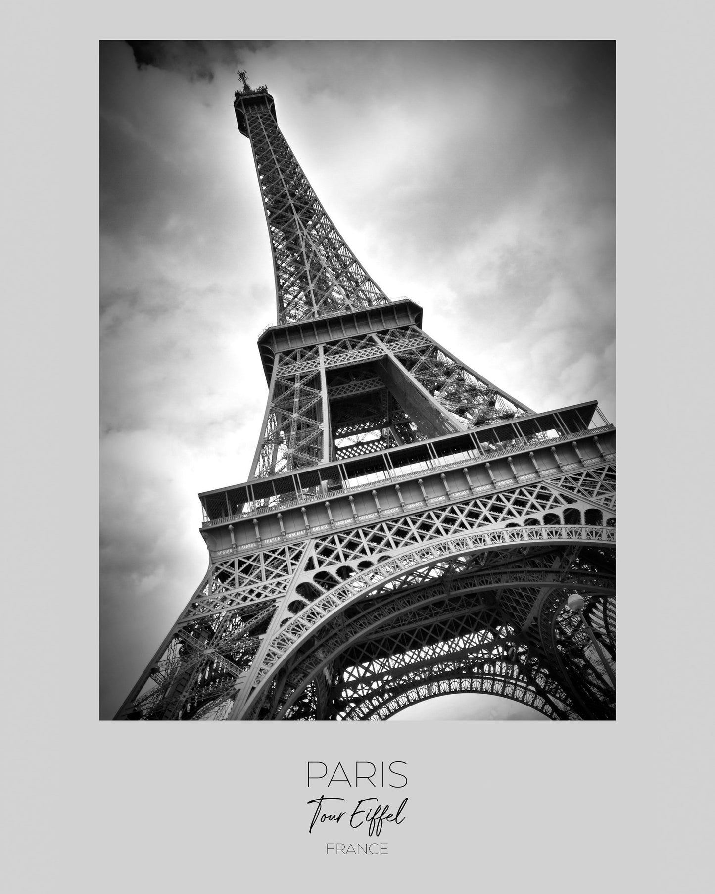 Eiffel Tower View